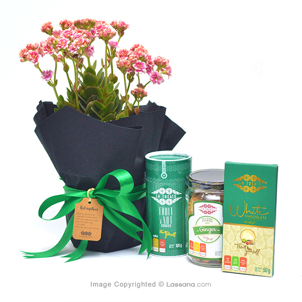 YOU'RE THE ONE COMBO PACK - Flowering Plants - in Sri Lanka